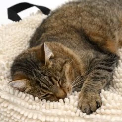 Cojín Para Mascotas Color Crema -Perros Gatos Suministros Tienda 104122 katze fg 5644 5