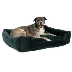 Cama Modern Living Fern Para Perros -Perros Gatos Suministros Tienda 111547 hundebett fern fg 0546 0