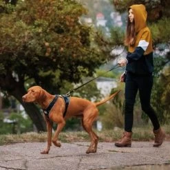 Julius K9 Arnés Para Perros JULIUS-K9 IDC® Longwalk Negro Y Gris 19 Julius K9 Arnés Para Perros JULIUS-K9 IDC® Longwalk Negro Y Gris -Perros Gatos Suministros Tienda 123299 julius k9 idc longwalk geschirr schwarz grau hs 14 7