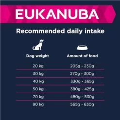 Eukanuba Adult Razas Grandes Con Cordero Y Arroz -Perros Gatos Suministros Tienda 135797 eukanuba adult large breed lamm reis feeding 3 9