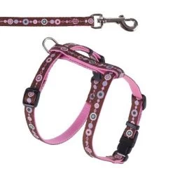 Set Hunter: Arnés + Correa Para Cachorros Y Gatos