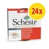 Pack Ahorro: Schesir En Latas 24 X 150 G -Perros Gatos Suministros Tienda 140297 pla agras schesir hund 150g huhn mit rind hs 01 7 1 5