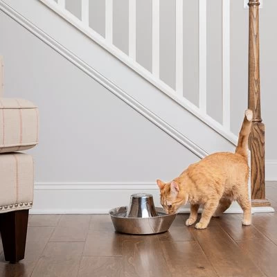 Bebedero Fuente Drinkwell Seaside De PetSafe De Acero - Imagen 3