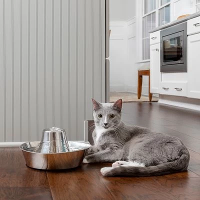 Bebedero Fuente Drinkwell Seaside De PetSafe De Acero - Imagen 6