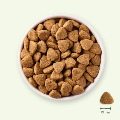 Yarrah Pienso Vegetariano Y Ecológico Para Perros - Sin Cereales - Imagen 2