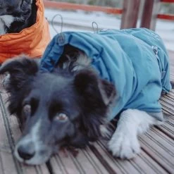 Abrigo Invernal Bare Storm Hurtta Para Perros -Perros Gatos Suministros Tienda 186541 188196 188197 188198 188199 188200 188201 hurtta zooplus bare winterjacke storm hs 07 2