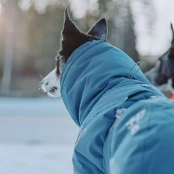 Abrigo Invernal Bare Storm Hurtta Para Perros -Perros Gatos Suministros Tienda 186541 188196 188197 188198 188199 188200 188201 hurtta zooplus bare winterjacke storm hs 08 6