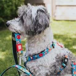 Arnés Max & Molly Little Monsters Para Perros -Perros Gatos Suministros Tienda 186583 186584 189797 maxnmolly hg eschirr littlemonsters hs 01 7