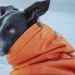 Abrigo Invernal Bare Sunrise Hurtta Para Perros -Perros Gatos Suministros Tienda 188296 188297 188298 188299 188300 188301 188302 hurtta forzooplus bare winterjacke sunrise hs 15 9