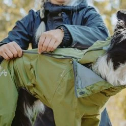Chubasquero Bare Pine Hurtta Para Perros -Perros Gatos Suministros Tienda 188303 188304 188305 188396 186542 186543 hurtta forzooplus bare regenoverall pine hs 06 8
