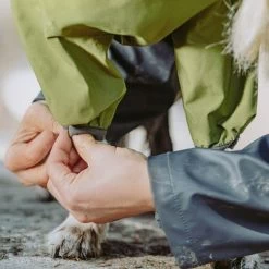 Chubasquero Bare Pine Hurtta Para Perros -Perros Gatos Suministros Tienda 188303 188304 188305 188396 186542 186543 hurtta forzooplus bare regenoverall pine hs 07 8