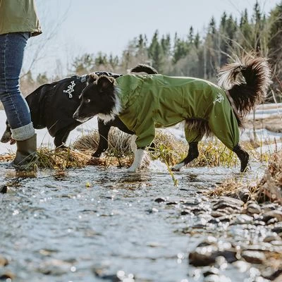 Chubasquero Bare Pine Hurtta Para Perros - Imagen 4
