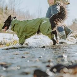 Chubasquero Bare Pine Hurtta Para Perros -Perros Gatos Suministros Tienda 188303 188304 188305 188396 186542 186543 hurtta forzooplus bare regenoverall pine hs 10 0