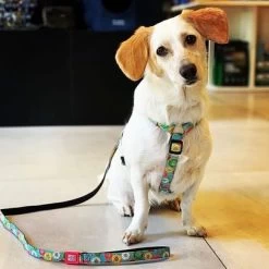 Arnés Max & Molly Donuts Para Perros -Perros Gatos Suministros Tienda 190296 190297 190396 maxnmolly hg eschirr donuts hs 02 2