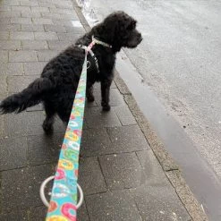 Arnés Max & Molly Donuts Para Perros -Perros Gatos Suministros Tienda 190296 190297 190396 maxnmolly hg eschirr donuts hs 05 6