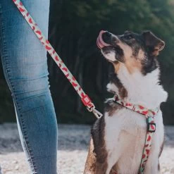 Arnés Max & Molly Watermelon Para Perros -Perros Gatos Suministros Tienda 190413 190414 190703 maxnmolly hg eschirr watermelon hs 08 4