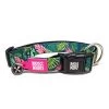 Collar Max & Molly Tropical Con Smart ID Para Perros -Perros Gatos Suministros Tienda 190596 190597 190399 190400 pla maxnmolly smartid halsband tropical dog hs 01 3