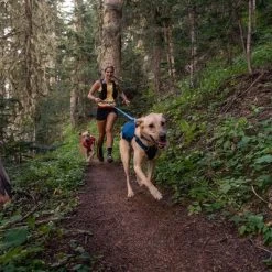 Arnés Ruffwear Switchbank Azul Para Perros -Perros Gatos Suministros Tienda 193199 193200 193201 accapi ruffwear switchbak harness bluemoon dog hs 09 3