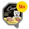 Cesar En Tarrinas 56 X 150 G -Perros Gatos Suministros Tienda 1 666133 cesar schale 56x150g 1
