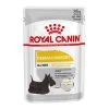 Royal Canin CCN Dermacomfort Mousse Para Perros -Perros Gatos Suministros Tienda 1 94614 pla royal canin ccn dermacomfort wet 7