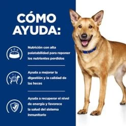 Hill's I/d Prescription Diet Digestive Care Estofado Para Perros -Perros Gatos Suministros Tienda 1 pd id dog bk33557 how helps es 5