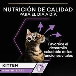PURINA PRO PLAN Kitten Healthy Start 24 X 85 G En Latas -Perros Gatos Suministros Tienda 1 puprpnwcadvhenocach23junbjcles 2