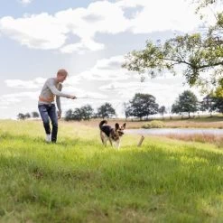 Trixie Caña Estimulante Juguete De Adiestramiento Para Perros -Perros Gatos Suministros Tienda 209093 trixie reizangel hs 06 8