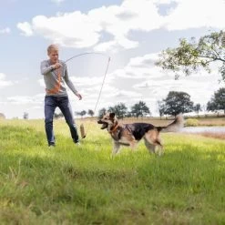 Trixie Caña Estimulante Juguete De Adiestramiento Para Perros -Perros Gatos Suministros Tienda 209093 trixie reizangel hs 07 5