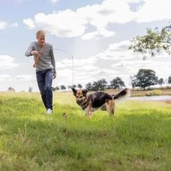 Trixie Caña Estimulante Juguete De Adiestramiento Para Perros -Perros Gatos Suministros Tienda 209093 trixie reizangel hs 08 7