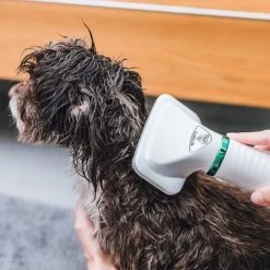 Cepillo Trixie De Aire Caliente -Perros Gatos Suministros Tienda 212217 trixie warmluftbuerste 300w hs 18 5