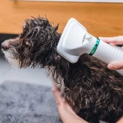 Cepillo Trixie De Aire Caliente -Perros Gatos Suministros Tienda 212217 trixie warmluftbuerste 300w hs 19 8