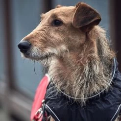 Abrigo HUNTER Uppsala Cozy Para Perros -Perros Gatos Suministros Tienda 212940 212941 212942 hunter hundemantel uppsala cozy redblack hs 07 7