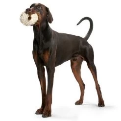 Oveja HUNTER Snugly Juguete Para Perros -Perros Gatos Suministros Tienda 212982 hunter hundespielzeug snugly schaf hs 02 9