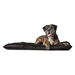 Cama Hunter Bologna Negra Para Perros 13 Cama Hunter Bologna Negra Para Perros -Perros Gatos Suministros Tienda 214699 214700 hunter hundebett bologna schwarz hs 04 5