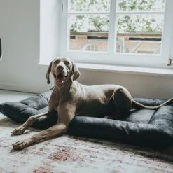 Cama Hunter Bologna Negra Para Perros 18 Cama Hunter Bologna Negra Para Perros -Perros Gatos Suministros Tienda 214699 214700 hunter hundebett bologna schwarz hs 10 8