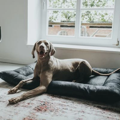 Cama Hunter Bologna Negra Para Perros 10 Cama Hunter Bologna Negra Para Perros - Imagen 8