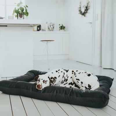 Cama Hunter Bologna Negra Para Perros 4 Cama Hunter Bologna Negra Para Perros - Imagen 2