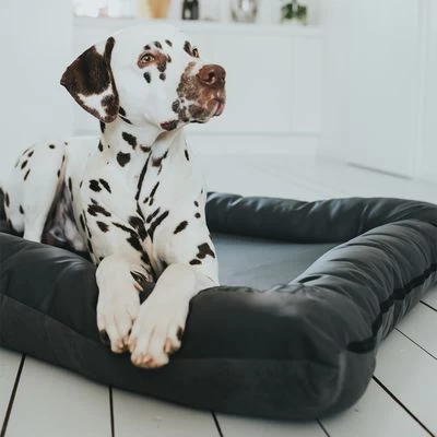 Cama Hunter Bologna Negra Para Perros 11 Cama Hunter Bologna Negra Para Perros - Imagen 9