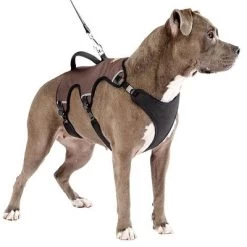 Arnés Ferplast Ergotrekking Marrón -Perros Gatos Suministros Tienda 224505 224506 224507 ferplast ergotrekking geschirr braun hs 14 0
