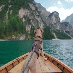 Arnés Ferplast Ergotrekking Marrón -Perros Gatos Suministros Tienda 224505 224506 224507 ferplast ergotrekking geschirr braun hs 18 4