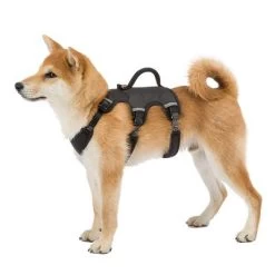 Arnés Ferplast Ergotrekking Negro -Perros Gatos Suministros Tienda 224508 224509 224510 ferplast ergotrekking geschirr schwarz hs 10 4