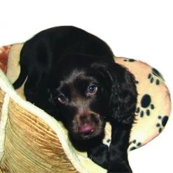 Almohadilla SnuggleSafe -Perros Gatos Suministros Tienda 22802 snugglesafe heizkissen f r haustiere hs dog 1