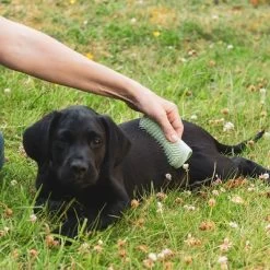 Pet Teezer Cepillo Para Cachorros -Perros Gatos Suministros Tienda 230724 pet teezer welpenbuerste hs 17 0