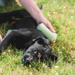 Pet Teezer Cepillo Para Cachorros -Perros Gatos Suministros Tienda 230724 pet teezer welpenbuerste hs 19 6