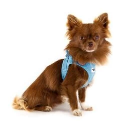 Arnés Curli Vest Clasp Air-Mesh Azul Cielo Para Perros -Perros Gatos Suministros Tienda 267596 267597 267598 267308 curli vest geschirr clasp airmesh himmelblau hs 03 1