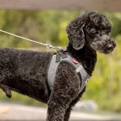 Correa De Bolsillo Curli Ultrarresistente -Perros Gatos Suministros Tienda 267896 267897 ultrastarke taschenleine hs 05 3