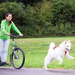 Correa De Bolsillo Curli Ultrarresistente -Perros Gatos Suministros Tienda 267896 267897 ultrastarke taschenleine hs 07 2