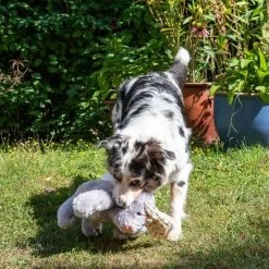 Conejo Elsie De Peluche Para Perros -Perros Gatos Suministros Tienda 267996 elsie mit hund fg 3306 3