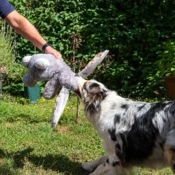 Conejo Elsie De Peluche Para Perros -Perros Gatos Suministros Tienda 267996 elsie mit hund fg 3309 7