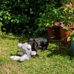 Conejo Elsie De Peluche Para Perros -Perros Gatos Suministros Tienda 267996 elsie mit hund fg 3335 8